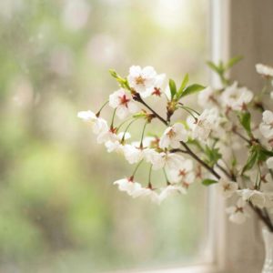 стихи про весну и весенняя проза на портале Прозару.ком